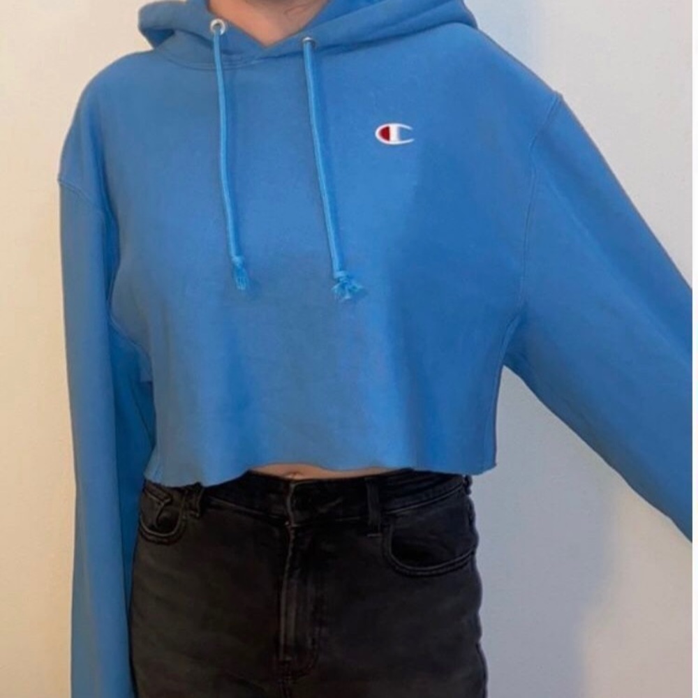 Champion cropped top hoodie
